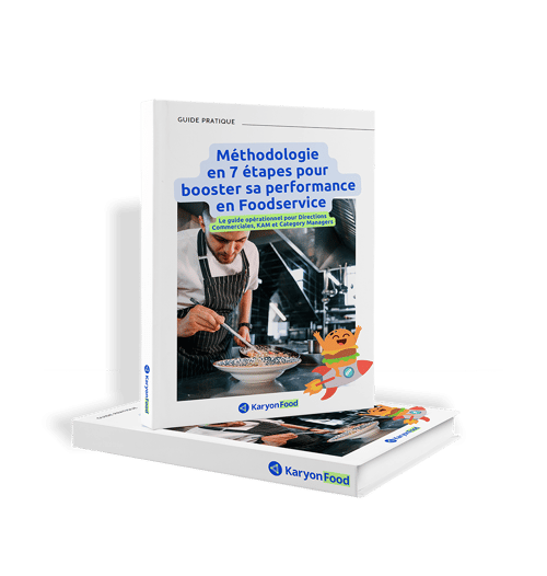ebook-guide-methodologie
